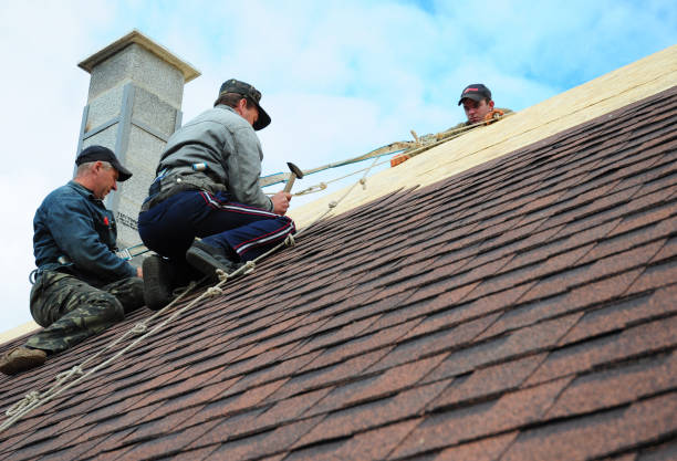 Best Gutter Installation and Roofing  in Edwardsville, PA